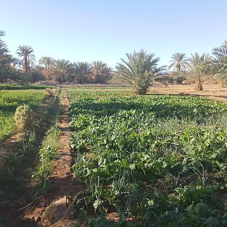 Riad Soleil Du Monde Zagora Luaran gambar
